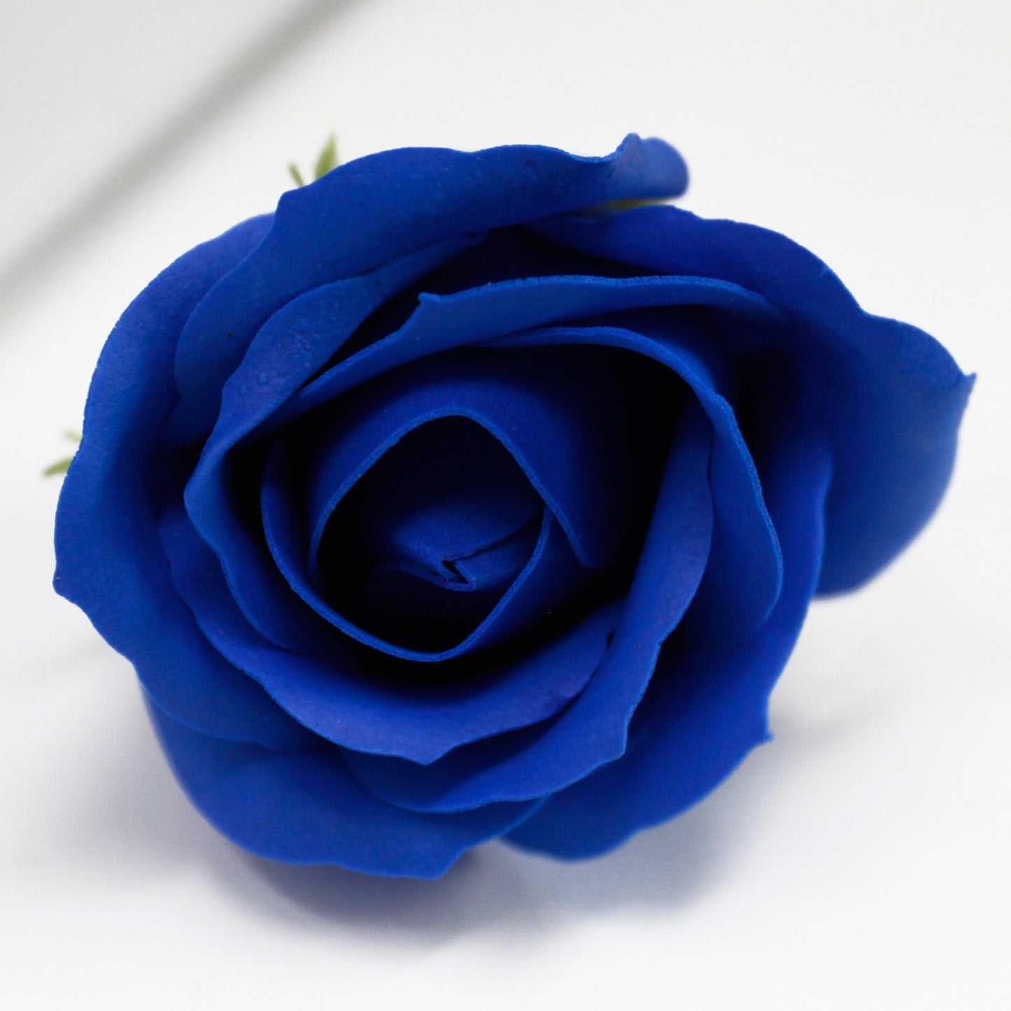 mittelgr. Rose - Königsblau