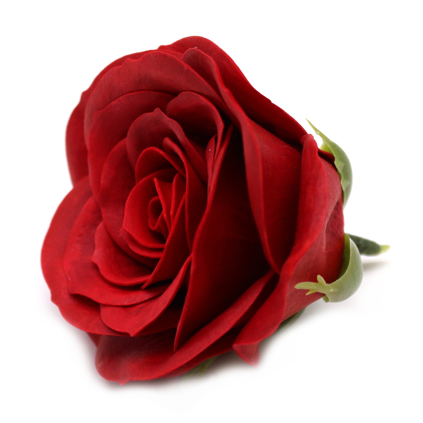 Vintage Rose