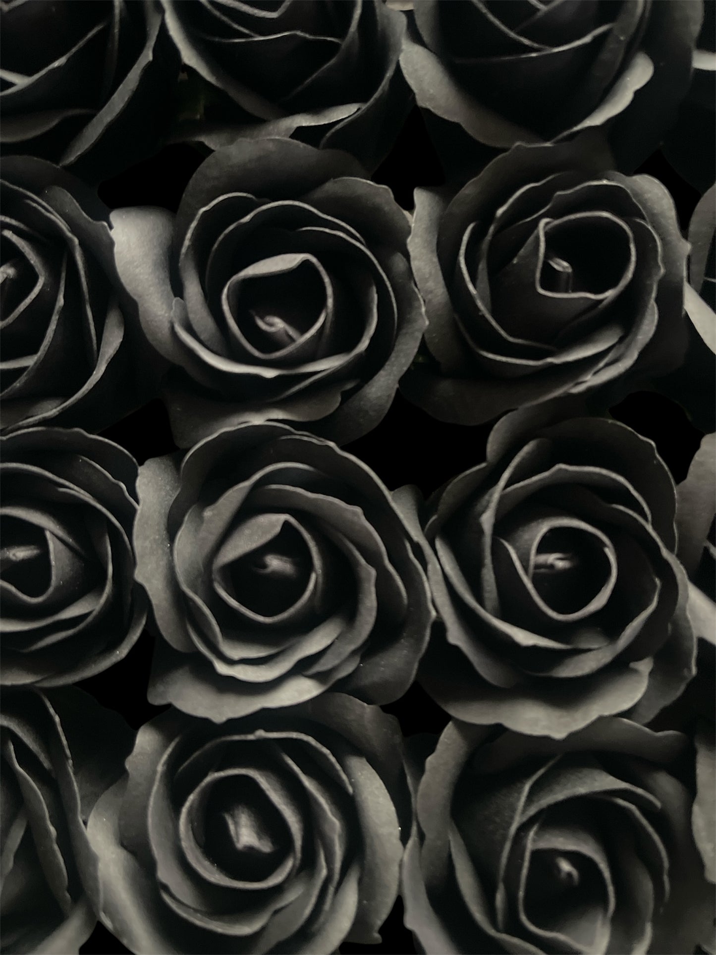 mittelgroße Rose - Schwarz