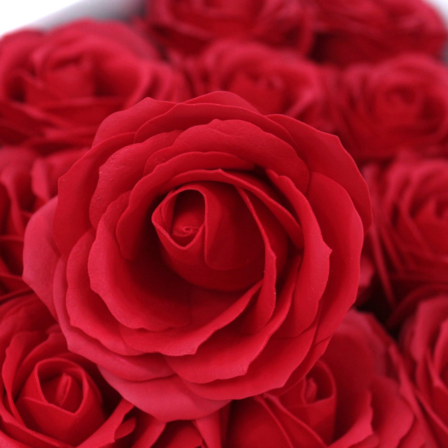 Seifenrose Rot groß
