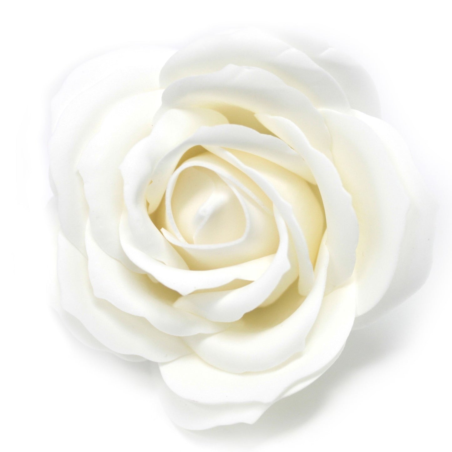 Premium Flowerbox „Sekt & Gold“ – Rot-Weiße Rosen Edition