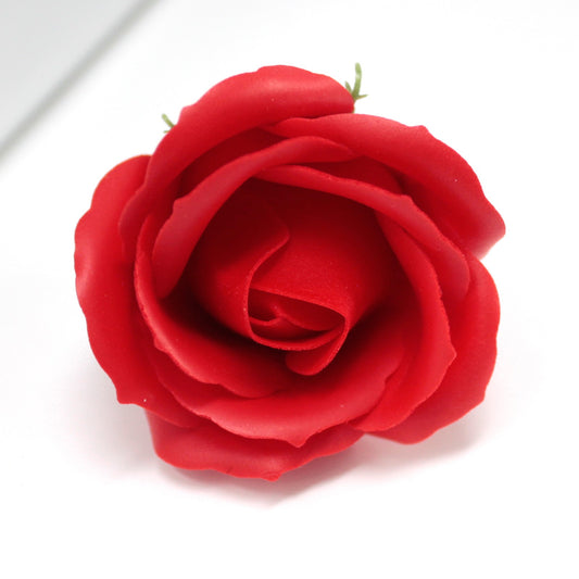 Seifenrose Rot