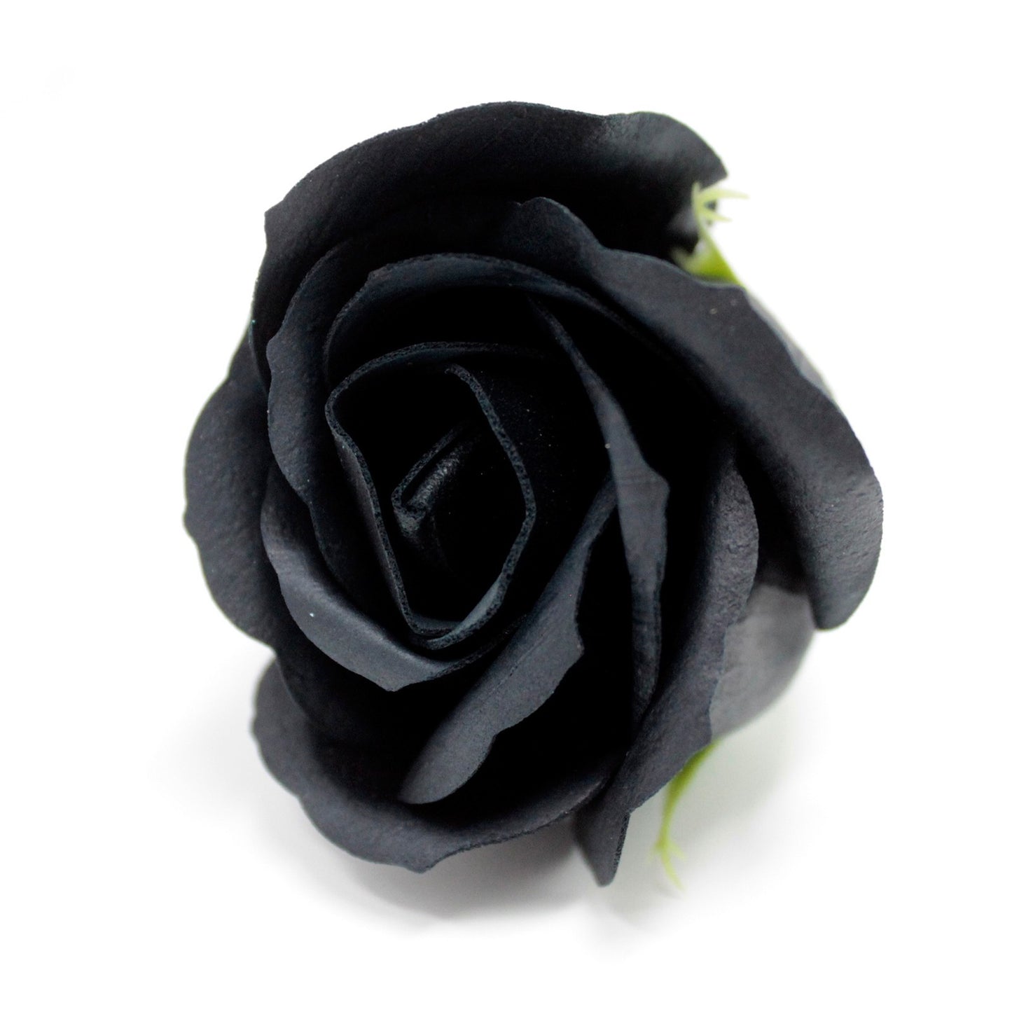 Gentleman’s Rosengarden – Die ultimative Symbiose aus Eleganz & Genuss