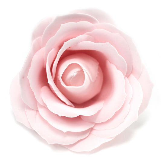 große Rose - Rosa