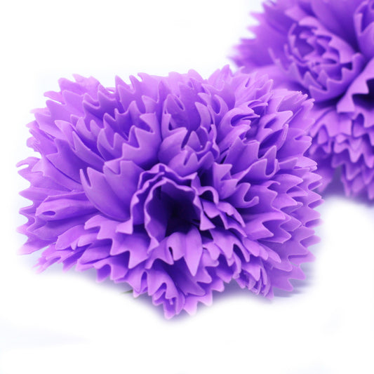 Seifennelken -  Violett
