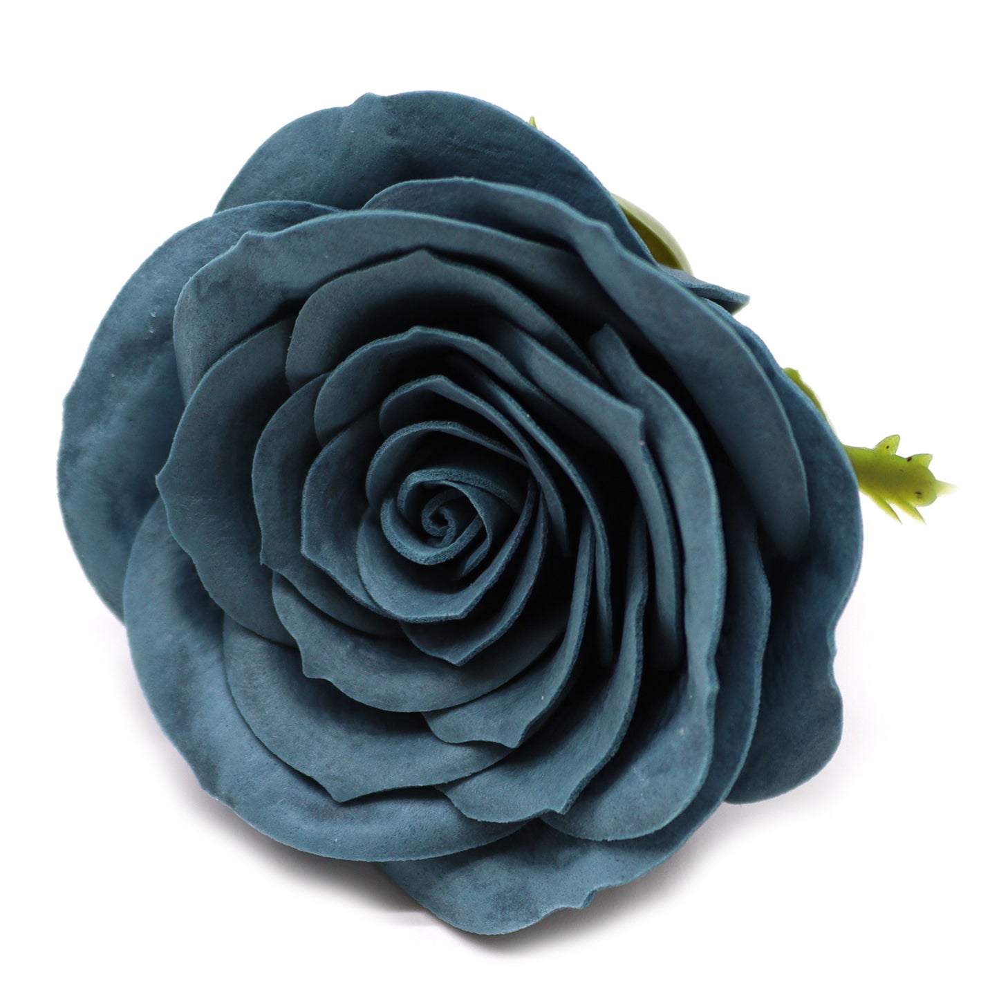 Vintage Rose – Ironhead Teal