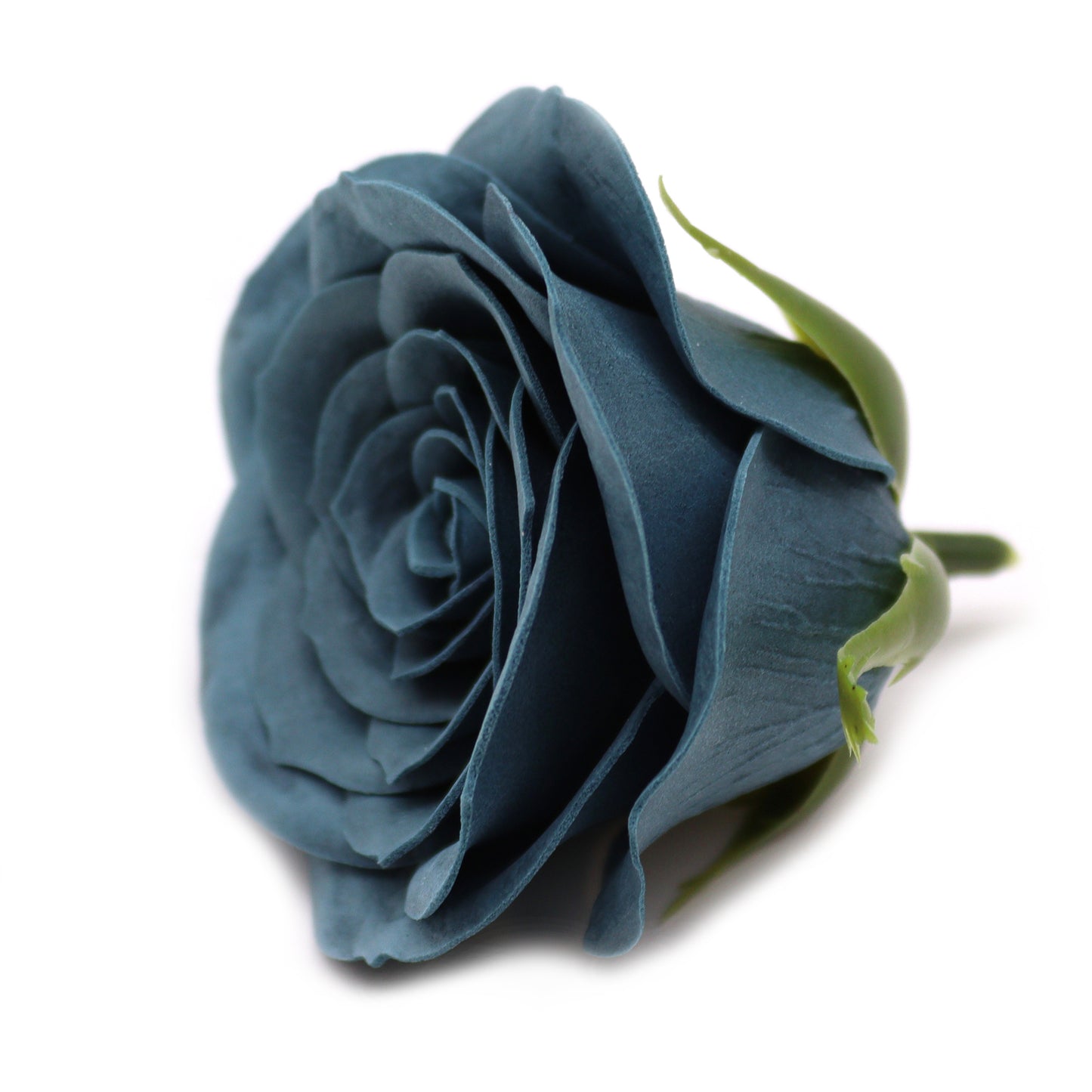 Vintage Rose – Ironhead Teal