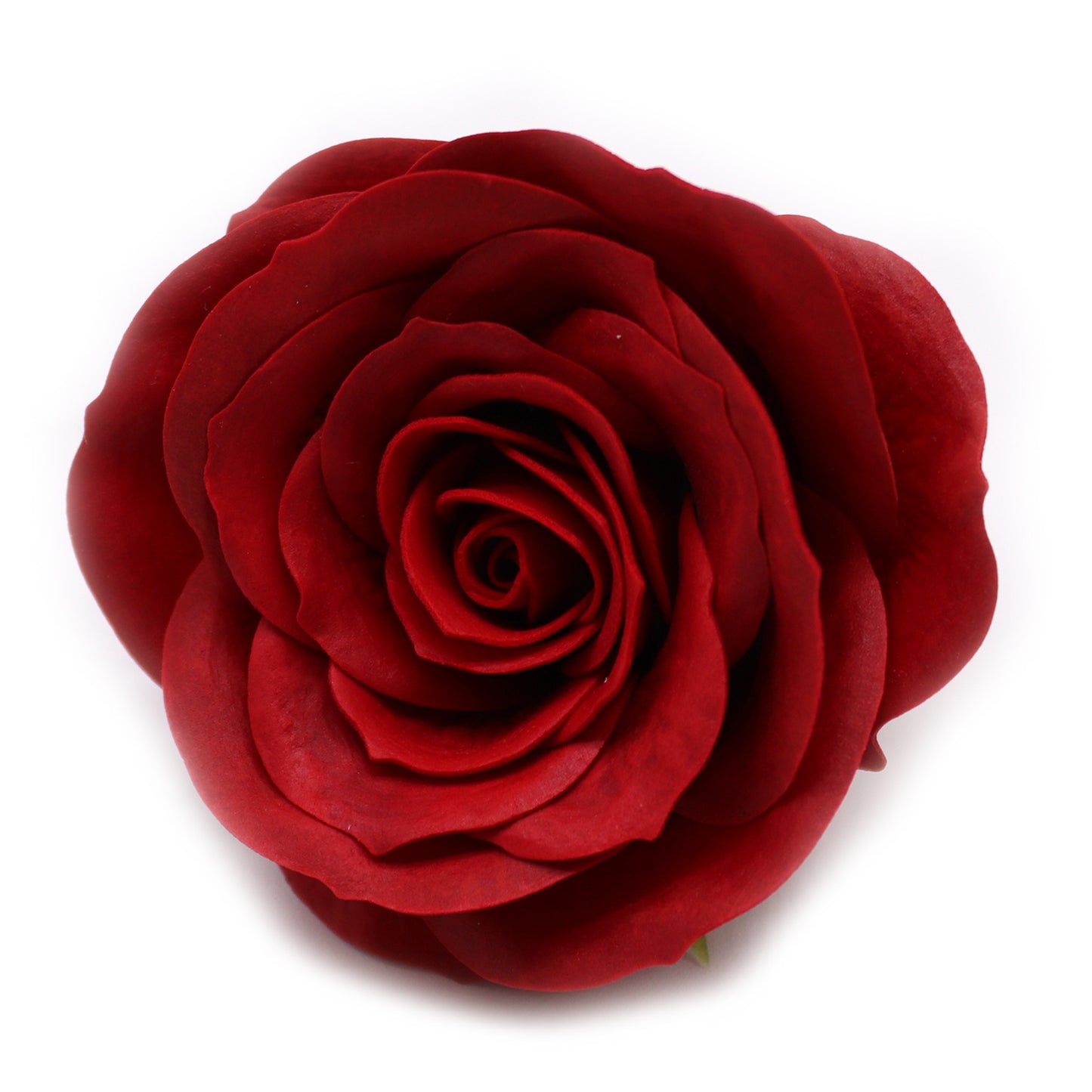 Vintage Rose