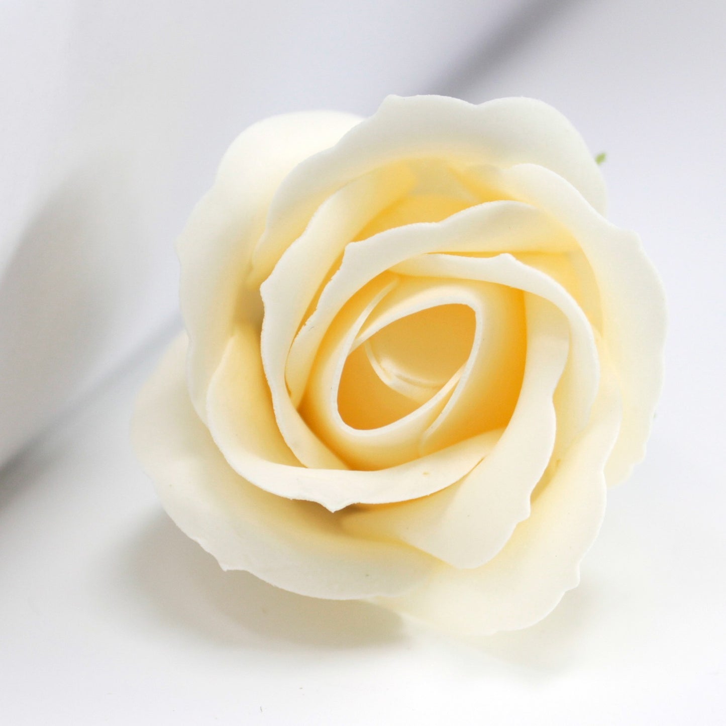 mittelgroße Rose - Elfenbein