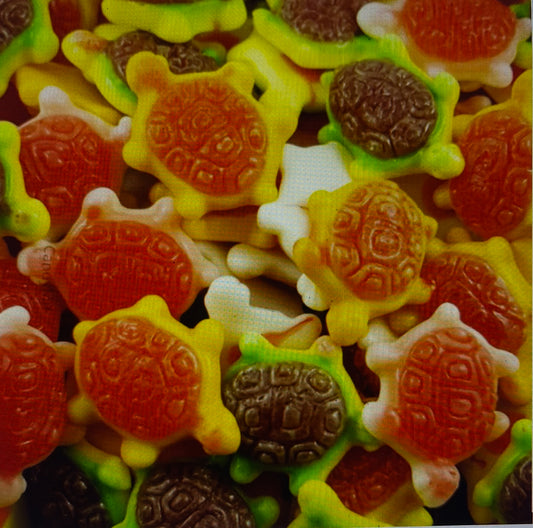 Gefüllte Schildkröten (100g)
