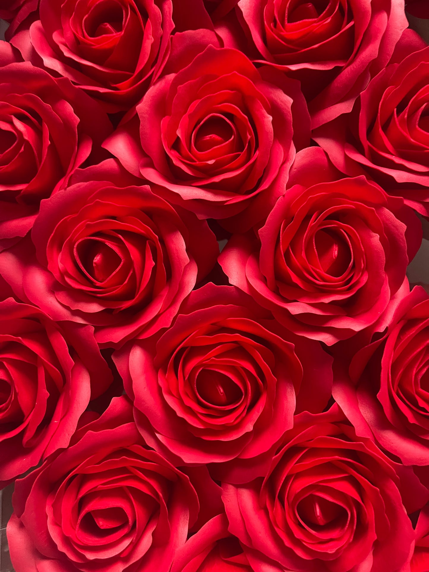 Seifenrose Rot groß
