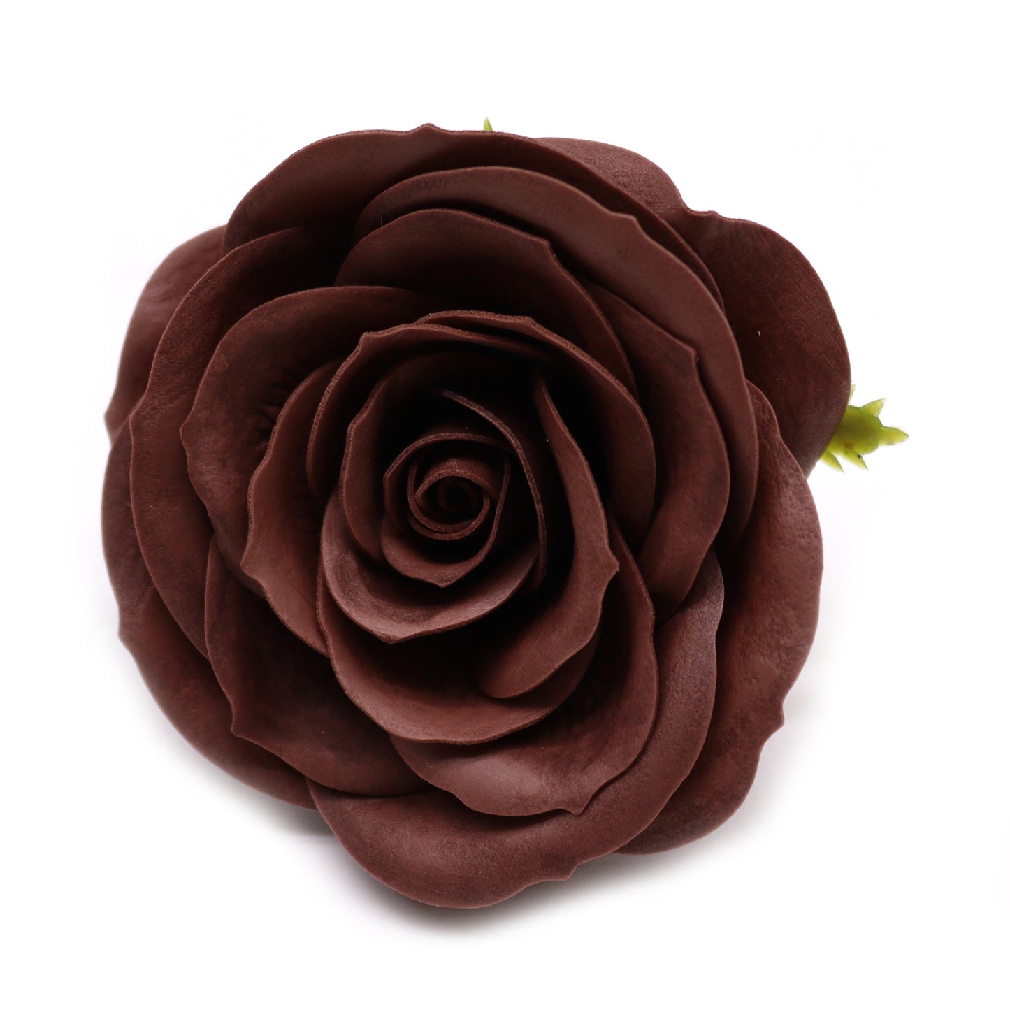 Vintage Rose – Royal Chocolate
