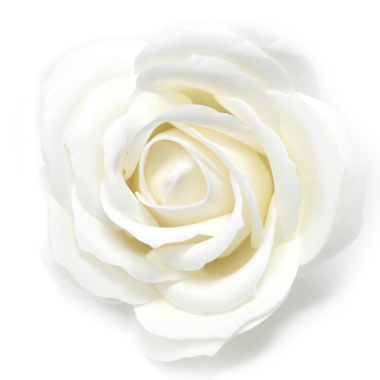 mittelgroße Rose - Weiß